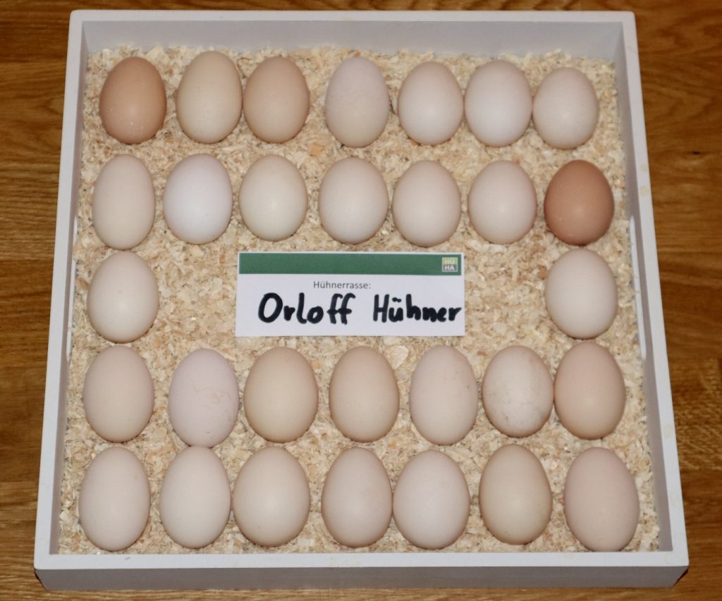 Auf dem Bild sieht man Orloff Eier auf einem Tablett